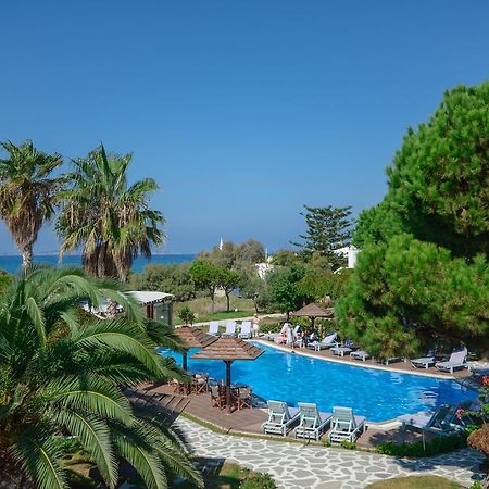 Alkyoni Beach Hotel Naxos City Kültér fotó