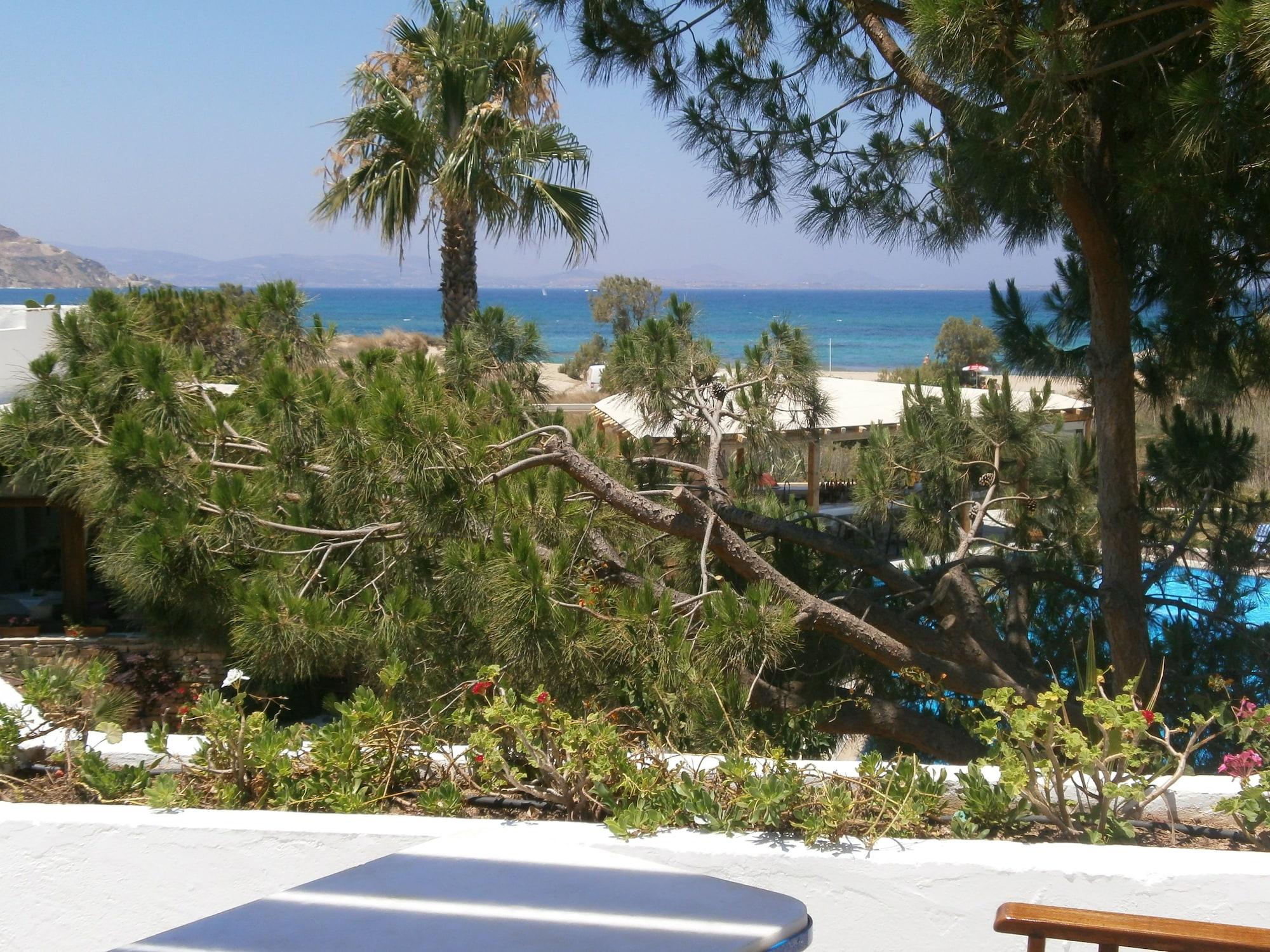 Alkyoni Beach Hotel Naxos City Kültér fotó